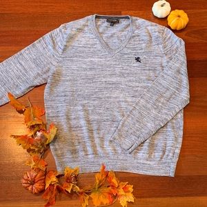 ‼️EXPRESS V-Neck Sweater‼️
